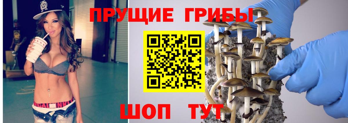 Псилоцибиновые грибы Psilocybine cubensis Заводоуковск