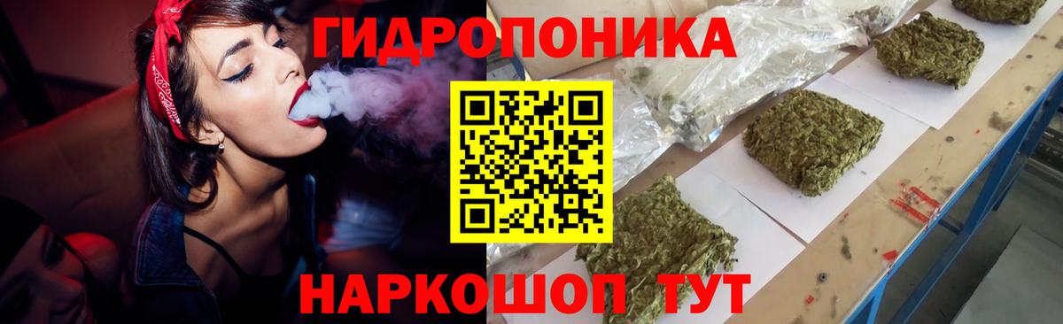 МАРИХУАНА сатива  Бошки Шишки OG Kush  Бошки Шишки планчик  Вход с VPN  Заводоуковск 
